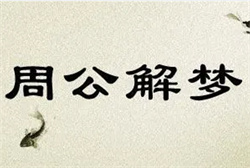 孕妇梦见黑色大狼狗追着要咬自己衣服
